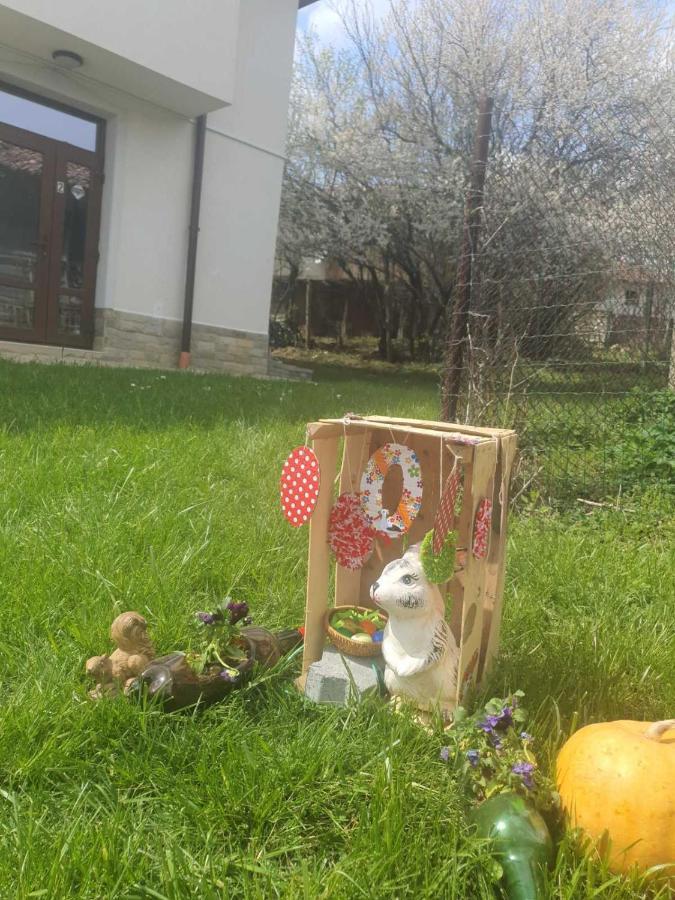 Бадевски Рай- Къща София Veliko Tarnovo Eksteriør billede